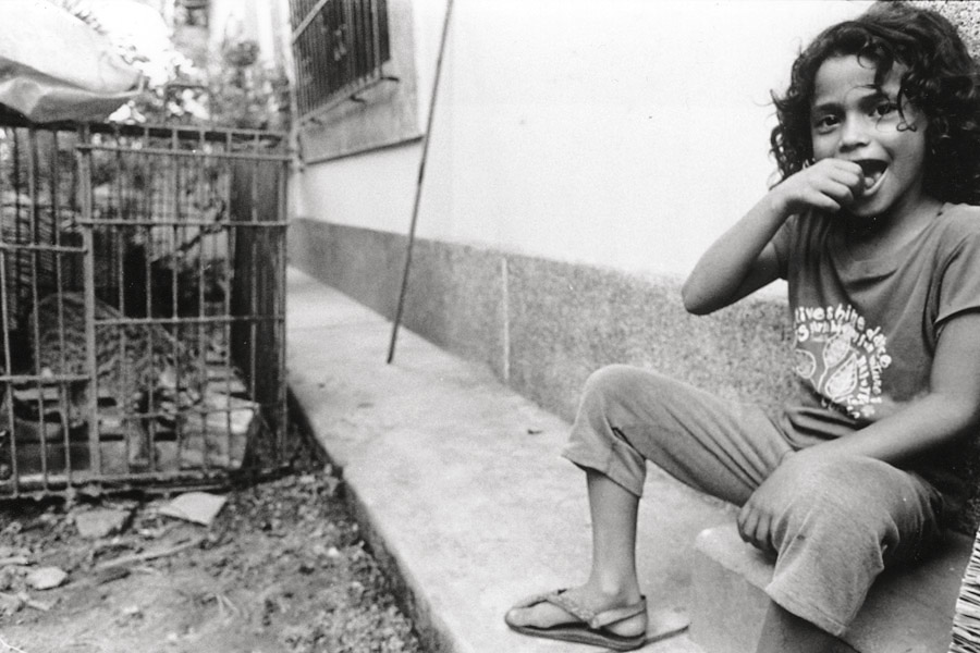 Momp&oacute;s, Colombia 2009: Amelia shows off baby ocelots that a local man keeps as pets.