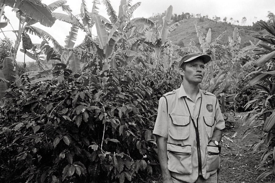 Salento, Colombia 2009: Hernan, manager of El Ocaso coffee farm.