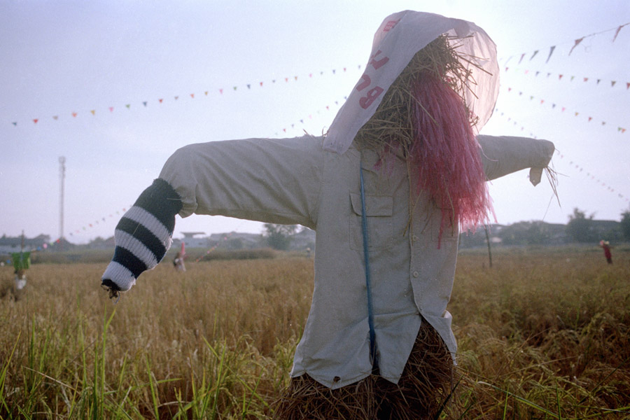 2013: The scarecrows at the end of harvest season became particularly elaborate that year.