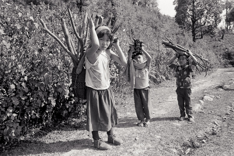 Northern Shan State 2011: Palaung children gathering wood.