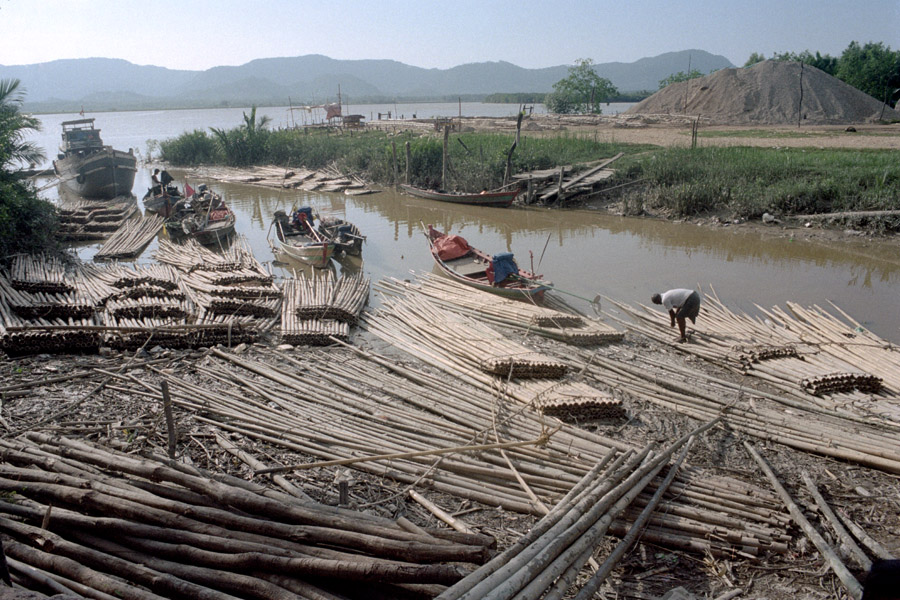 Dawei 2013.