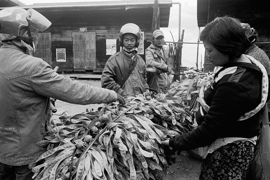 Taingen, Chin State 2014: mobile stinkbean vendor.