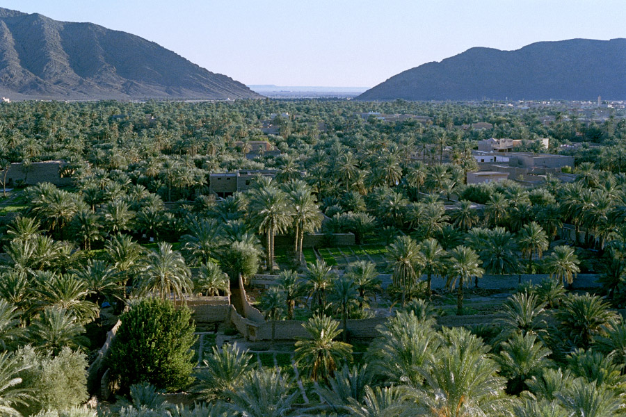 Figuig, Morocco 2016. An oasis town a short distance from the closed Algerian border.