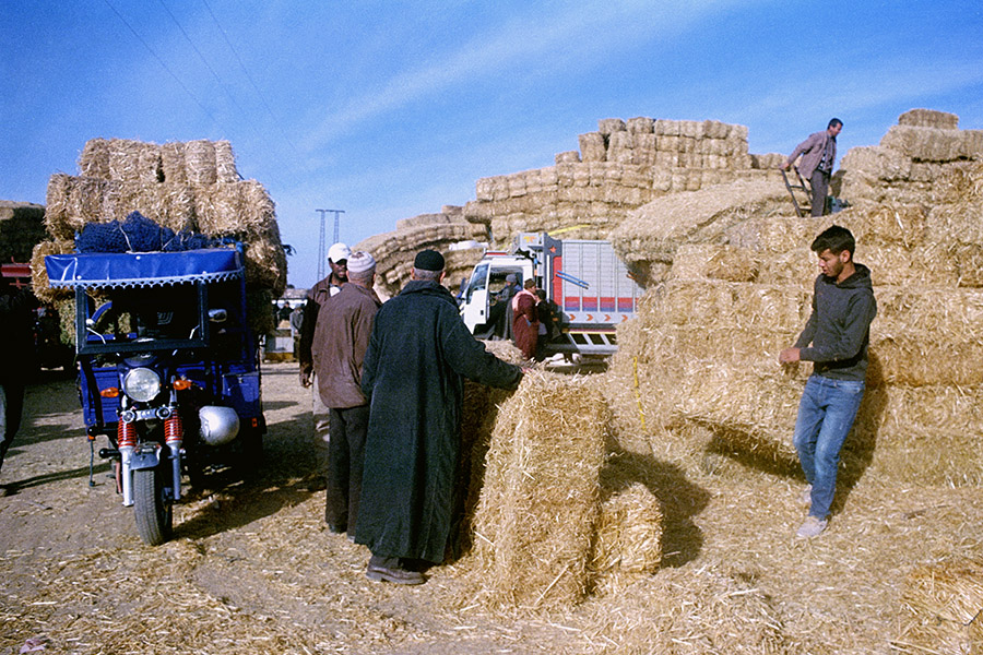 Taroudant, Morocco 2017: hay department of the sprawling weekly market.