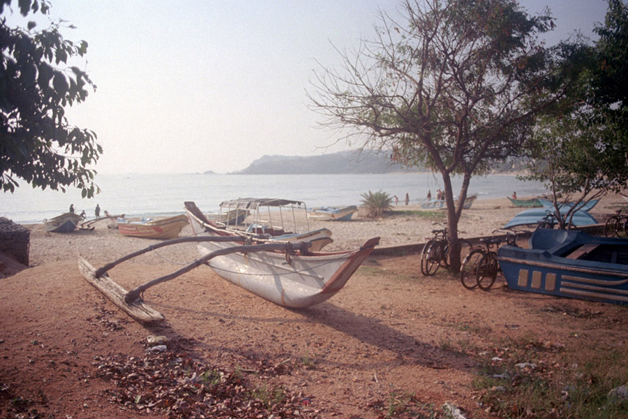 Trincomalee, Sri Lanka 2014: Narrow fishing boats.