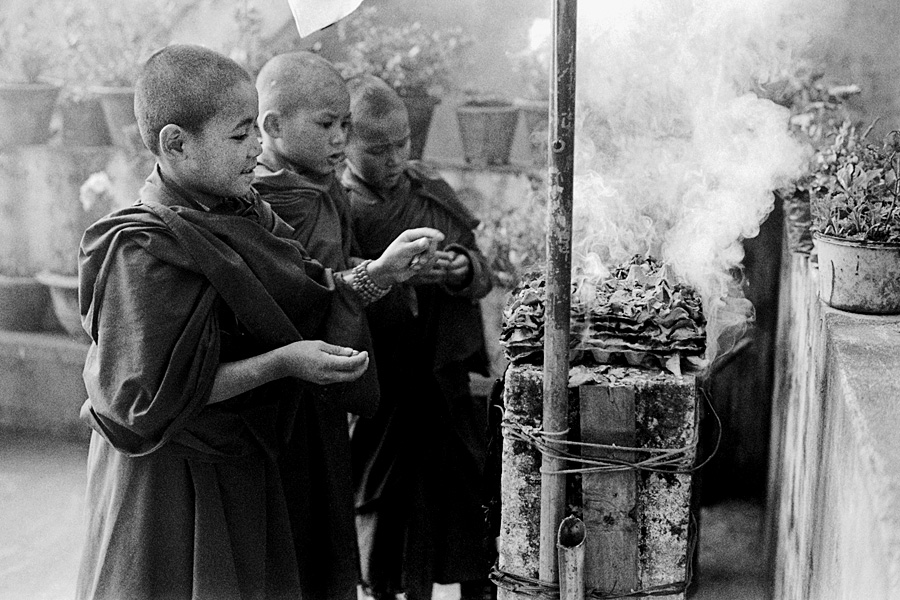 Darjeeling, India 2015: If baby monks are rare where you live, you might imagine they're all one with the universe, becoming more adorably enlightened with each passing day. But throughout various Buddhist countries, I've observed long-term novices yank kitten tails, play with toy guns, and yes, burn stuff without reason. Boys will be boys, eh?