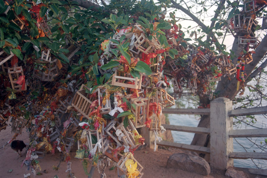 Trincomalee, Sri Lanka 2014: wishes tied to trees at Swami Rock, Koneswaram Temple.