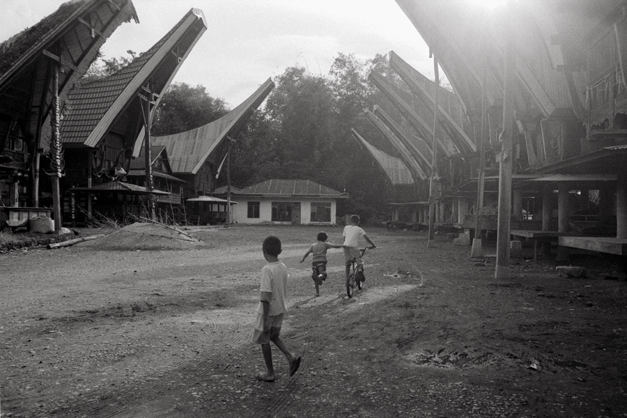 Marante, Sulawesi, Indonesia 2010: Tongkonan are the traditional houses (rumah adat) of Torajan people. The boat-like shape calls back to their history as seafaring people. The houses are representive of family identity and tradition, and due to the difficulty of construction they are also 
family-wide projects.