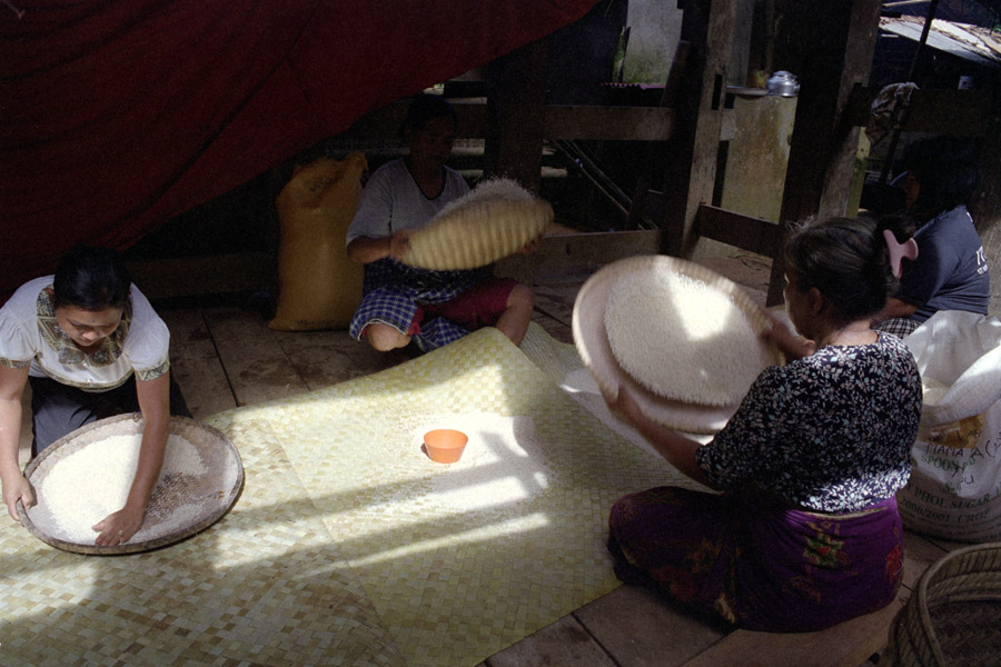 Parinding, Sulawesi, Indonesia 2010: winnowing rice for guests to eat during a funeral.