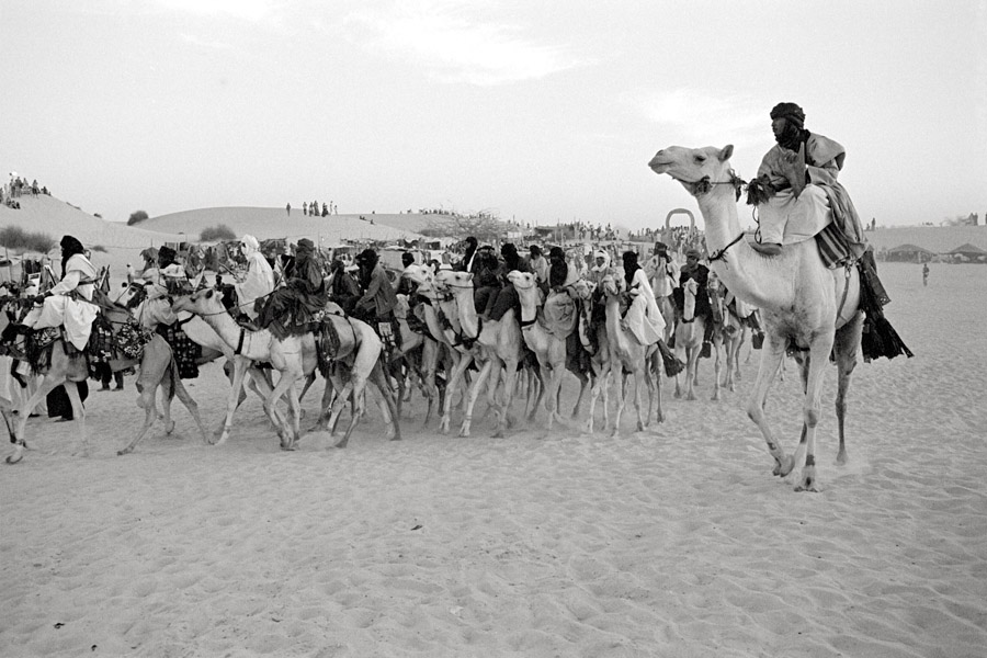 Timbuktu, Mali 2011: Tuaregs ceremoniously arriving on camelback at the Festival au Desert.