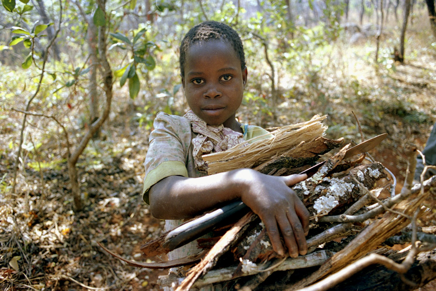 Mount Mulanje, Malawi 2008: young girl gathering wood on the lower slopes of the mountain. 